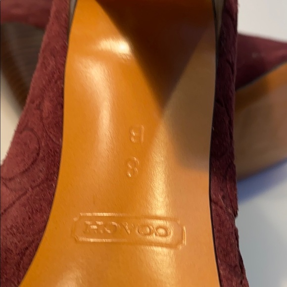 Coach - Picture 7 of 8